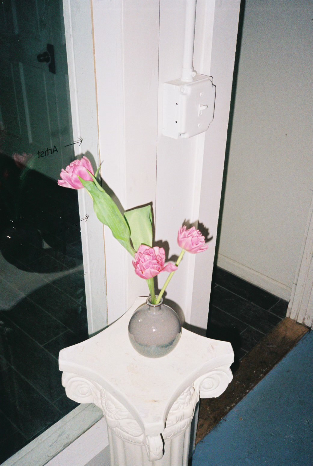 flowers from ragan